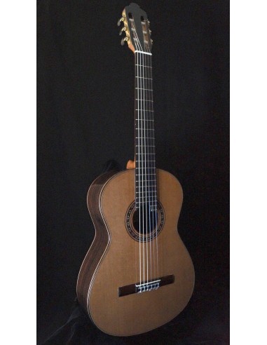 Ana Espinosa Concierto - Cedro