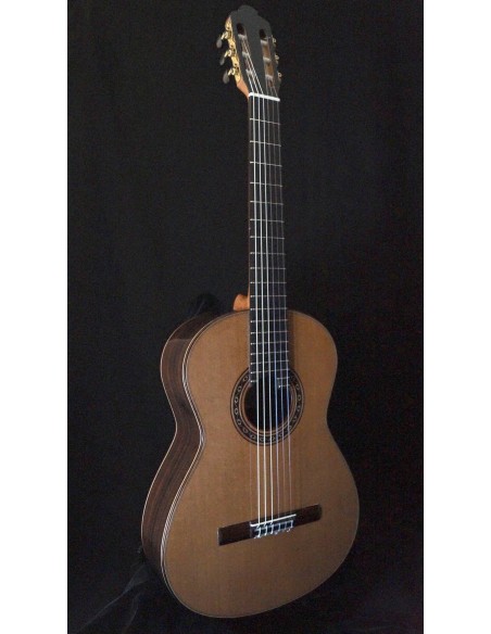 Ana Espinosa Concierto - Cedro