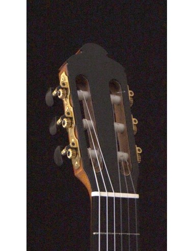 Ana Espinosa Concierto - Cedro