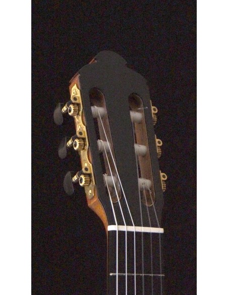 Ana Espinosa Concierto - Cedro