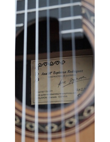 Ana Espinosa Concierto - Cedro