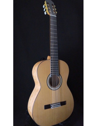 Quiles C-2 Eucalyptus - Cedar