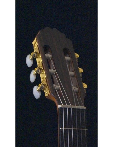 Quiles C-2 Ziricote - Cedar