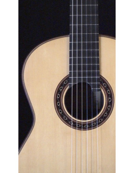 Ana Espinosa Concierto - Pino