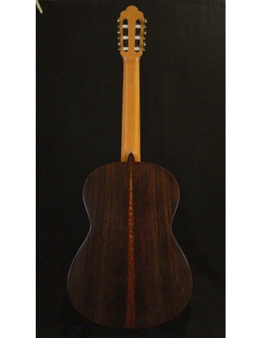 Ana Espinosa Concierto - Pino