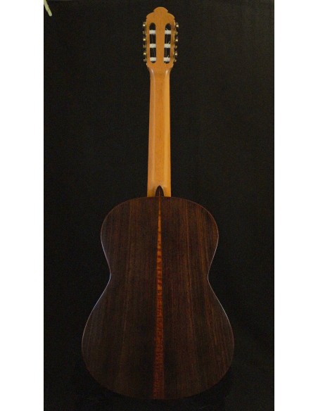 Ana Espinosa Concierto - Pino