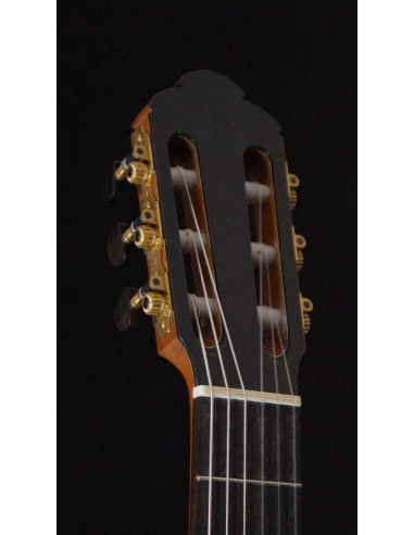 Ana Espinosa Concierto - Pino