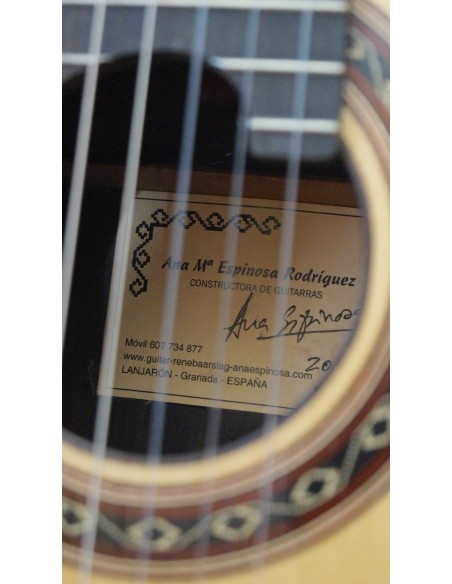 Ana Espinosa Concierto - Pino