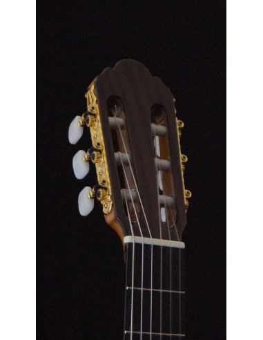 Antonio Picado 49 - Spruce