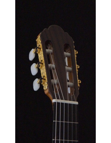 Antonio Picado 49 - Spruce