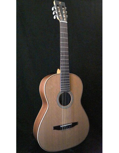 Esteve - Fusion Cedar