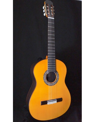 Javier Castaño - Negra