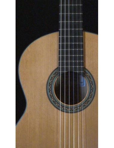 Ignacio Paricio Cedro - Blanca