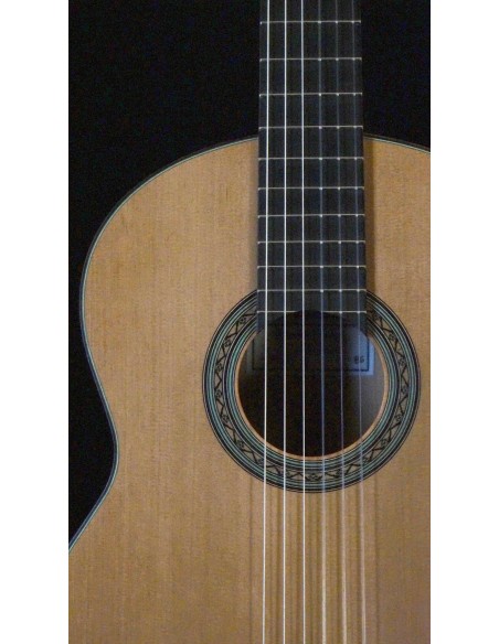 Ignacio Paricio Cedro - Blanca