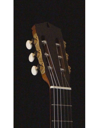 Ignacio Paricio Cedro - Blanca