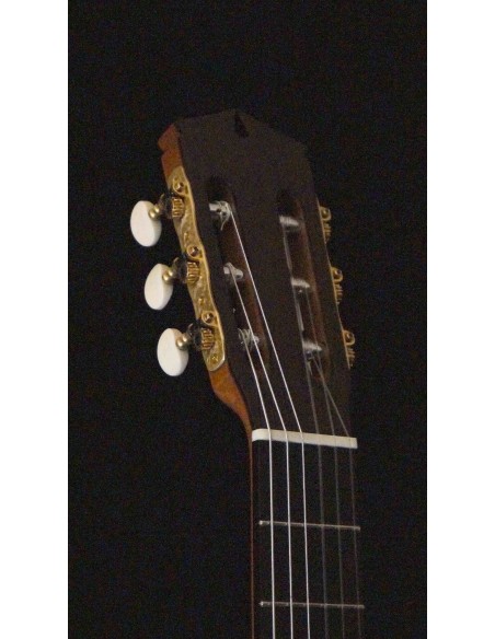 Ignacio Paricio Cedro - Blanca