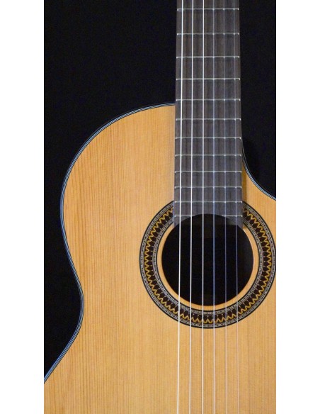 Sulayr Lattice Cutaway - Cedro