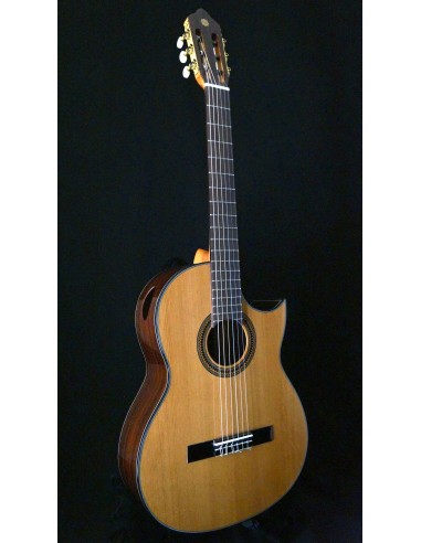 Sulayr Lattice Cutaway - Cedro