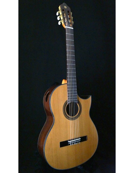 Sulayr Lattice Cutaway - Cedro