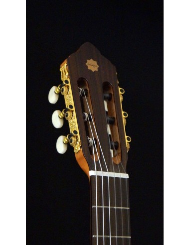 Sulayr Lattice Cutaway - Cedro