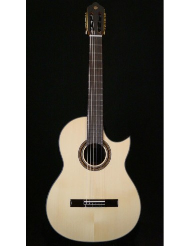 Sulayr Lattice Cutaway - Spruce