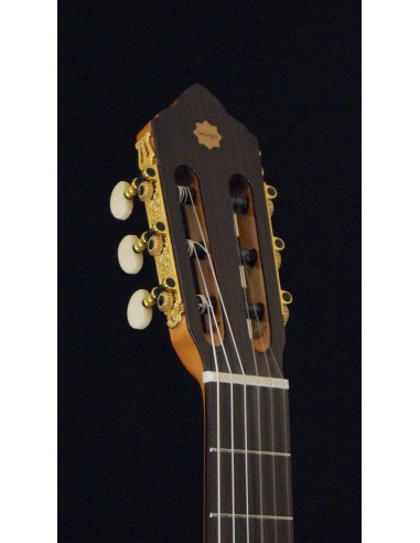 Sulayr Lattice Cutaway - Spruce